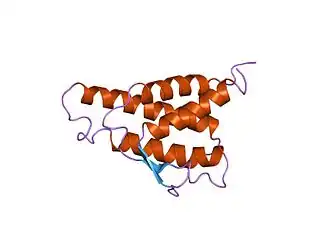 анализ структуры раствора интерлейкина 4 человека, определяемый гетероядерными трёхмерными методами ядерного магнитного резонанса