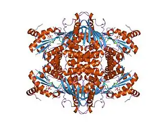 кристаллическая структура аргининосукцинат-синтетазы thermus thermophilus hb8 в комплексе с ATP и цитруллином.