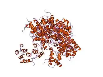 Структура RAIDD CARD.