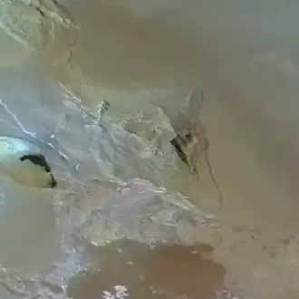 Южная Боосавла (снимок КА «Вояджер-1», 1979), север — слева сверху.