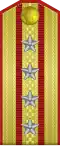 Погон старшего полковника (Colonel Commandant) сухопутных войск КНР (1955—1965).