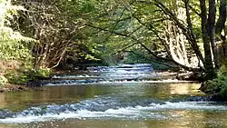 Пороги в заповеднике «За Таневом»