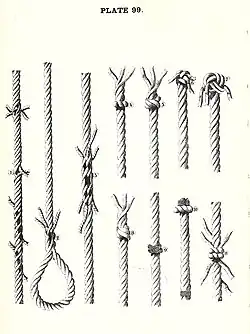 1) длинный сплесень, 2) огон, 3) короткий сплесень