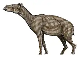 Реконструкция P. magnum