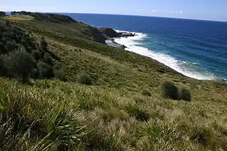 Побережье Королевского национального парка. Тасманово море.