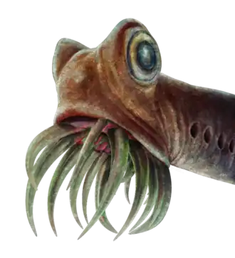 Реконструкция головы Panderodus unicostatus, основанная на образце с сохранившимися мягкими тканями из лагерштеттов Уокешо