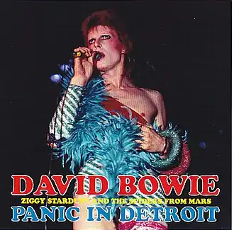 Обложка песни Дэвид Боуи «Panic in Detroit»