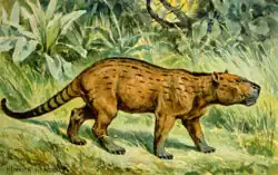 Пантолямбда