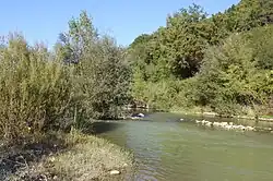 Мерсе в районе устья