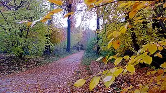 Парк осенью