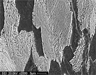 Электронная микрография протравленного шлифа перлита, увеличение 2000X.