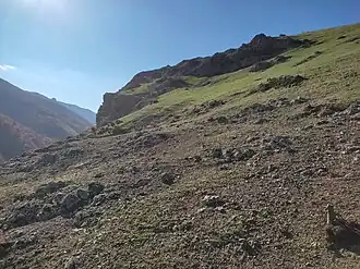 Вид на северо-восточный склон хребта