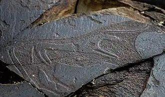 Петроглифы в Танбалы