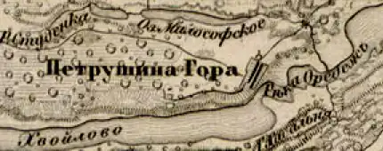 Деревня Петрушина Гора на карте 1863 г.