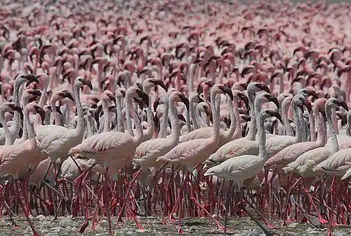 Озеро Богория