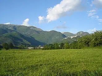 На территории парка