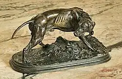 Собака вынюхивает дичь