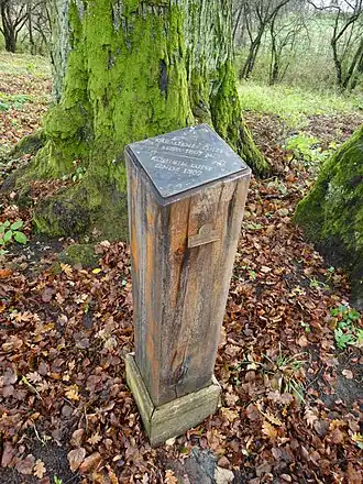 Памятный знак в Пиктупене: липа королевы Луизы