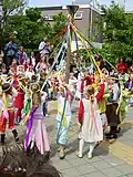Обряд «майского дерева» на Троицу в Нидерландах. 2005