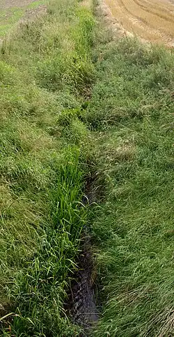 Река на территории Польши