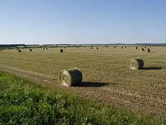 Сельскохозяйственное поле возле посёлка Пижанка