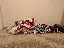 Наитеплейший плед на полу