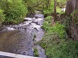 Верховья Плони