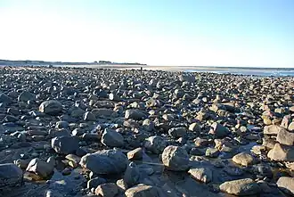 Берег океана в южной части острова Плам