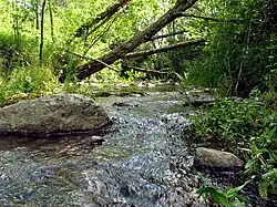 Погулянка в нижнем течении