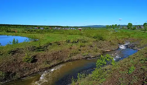 Слив поселкового пруда