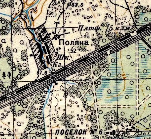 План деревни Поляны. 1941 год