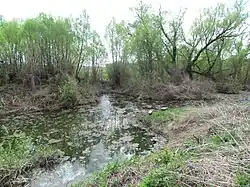 Пруд рядом с ул. Первомайская (Самодуровка, село Сосновка). 2015