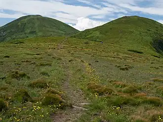 Пожижевская (справа) и Брескул (слева)