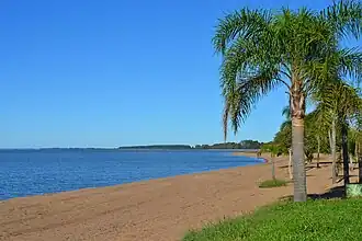 Озеро Патус летом 2019 года.