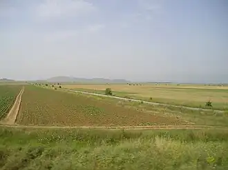 Прилепское поле — северная часть Пелагонии