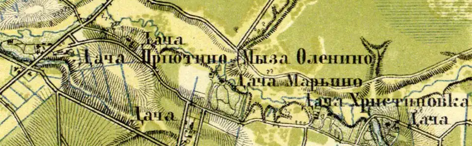 План мызы Приютино. 1860 год