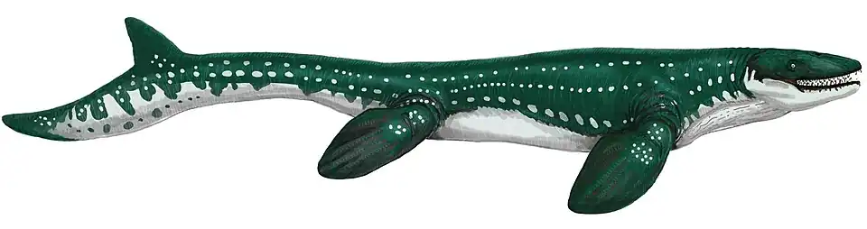 Prognathodon saturator