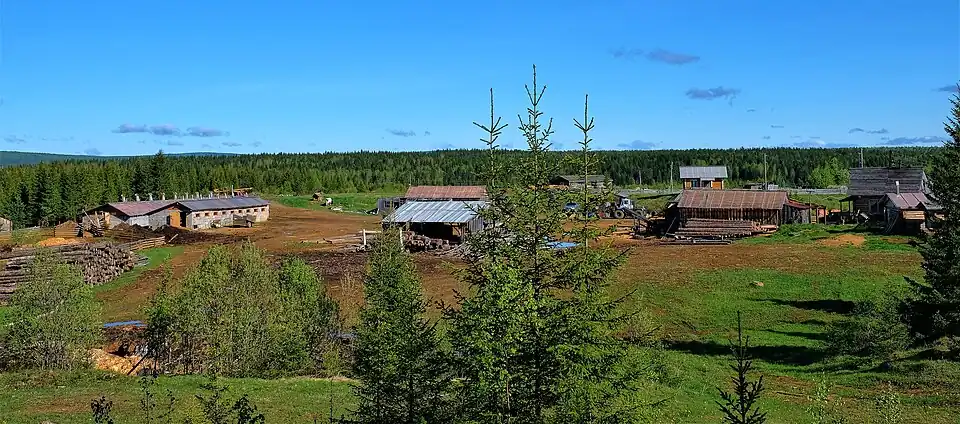 Одна из пилорам в посёлке