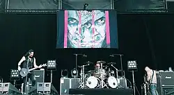 Выступление в Австрии, 2008 год