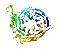Представлено на основе PDB 3IIW.