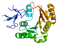 Фибрилларин18 мая 2016