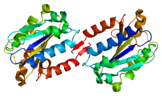 PDB прорисовано по 1cqp.