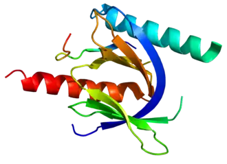 Структура молекулы ITGB1