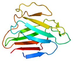 PDB rendering based on 1ifr.