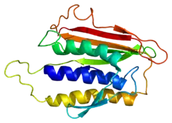 PDB представлено на основе 1duj.