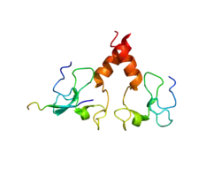 Представлено на основе PDB 2PUY.