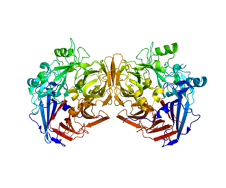 Структура белка RPE65