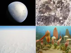 По рядам, слева направо: Гуронское оледенение в результате Кислородной катастрофы; появление эукариотов, в том числе первых водорослей; Земля-снежок — вся Земля покрыта слоем льда; Эдиакарская биота — одни из самых ранних животных