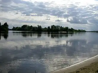 Припять недалеко от Лунинца, 2008