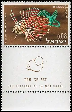 Крылатка-зебра (Pterois volitans)